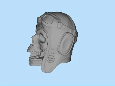 STL print Aviator skull and Eddy head for Wild Willie Driver KIT 3D print model