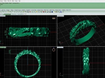 ring rock 3D print model