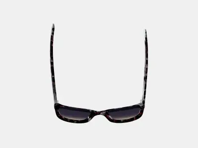 Aubrey Sunglasses in Garnet Tortoise 3D model