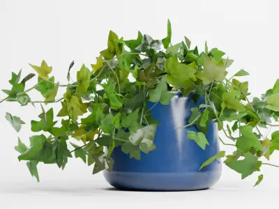 House Ivy Low-poly 3D model