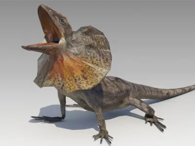 Frill-Necked Lizard Low-poly 3D model