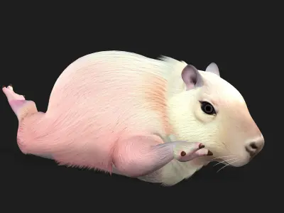 Capybara-A3 3D model
