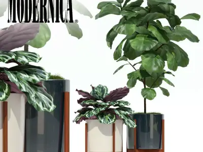 Plants collection 69 Modernica pots 3D model
