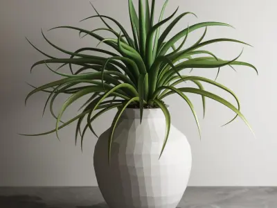 pot collection a07 5 pots