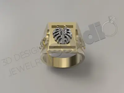 Luxury design feather ring 3d design 3D print model