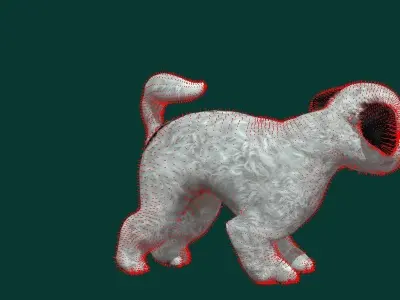 Bichon Frise Dog Breed 3D model