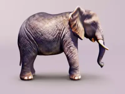 Elephant adult baby 3D model
