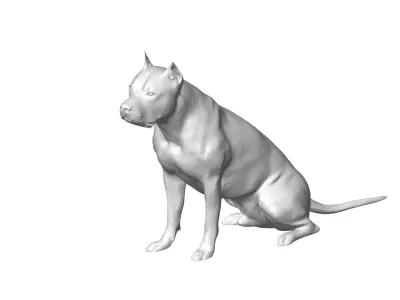 pitbull 3D model purchase