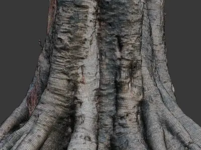 Ancient Tree Stump with Roots scan Low-poly 3D model