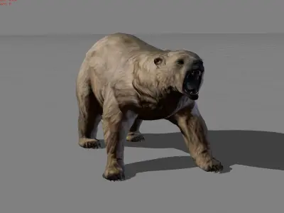 Polar Bear Animal Low-poly 3D model
