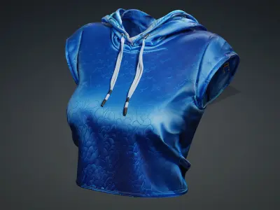 hooded top PBR 4k Low-poly 3D model