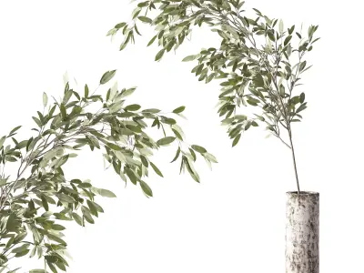 Plants Bouquet 08 3D model