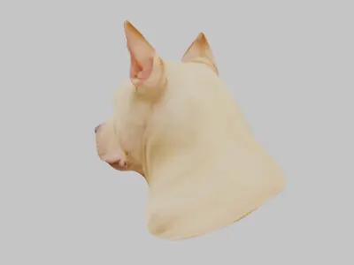 Pitbull Terrier Dog Head Bust Low-poly 3D model