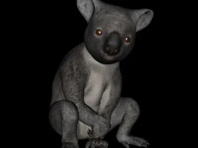 t13-koala koala bear praying 3D model