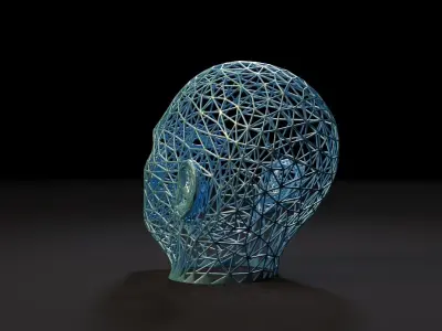 Head voronoi 3D print model
