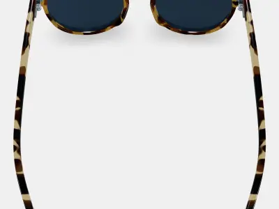 Wright Sunglasses in Walnut Tortoise 3D model