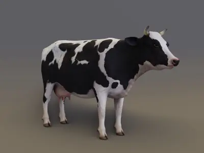 Dairy Cow Realistic 3D model