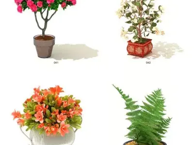 indoor plant models 3D model