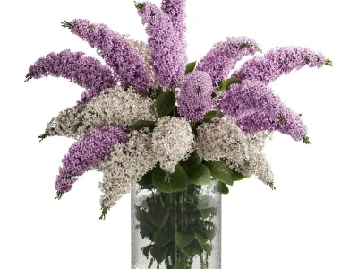 Bouquets lilacs  23 3D model