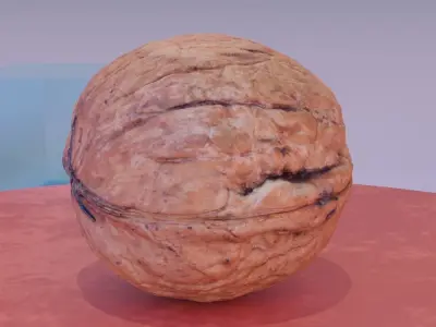 Walnut fruit 07 high-poly 3D model