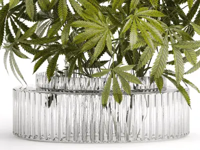 Modern Flower Bouquet Green Branches Cannabis Bush 609 3D model