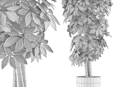 Plants Collection 79 3D model
