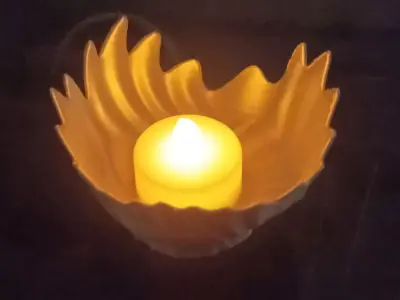 strange seashell bowl Free 3D print model