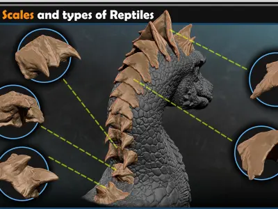 Dragon scales-types of reptiles Vol 01 3D model