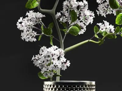 Flower Vase Set 3D model