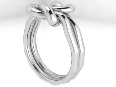 Knot Ring 3437 3D print model