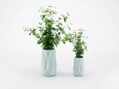 DECORATIVE PLANTS IN POTS 3D model