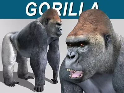 Gorilla 3D model