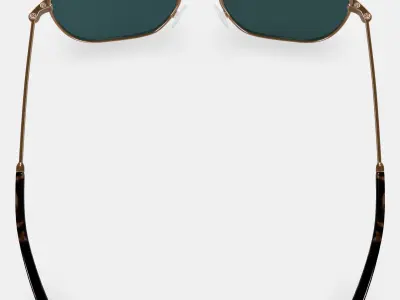 Abe Sunglasses in Polished Gold 3D model