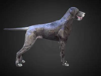 Dog Kurtshaar Grey Low Polygon Art Animal Low-poly 3D model