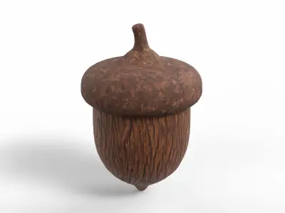Acorn Low-poly 3D model