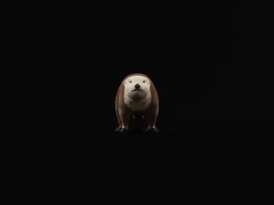 Sea Otter Mammal  Low-poly 3D model