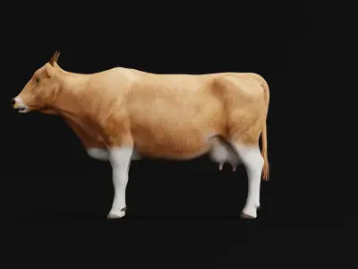 Javan Banteng Cattle 3D model