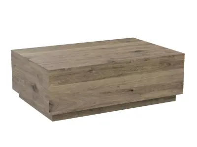 Classic Home Nyla Coffee Table 3D model