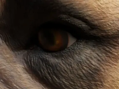 DOG - BOXER  Low-poly 3D model