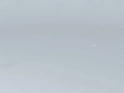 coving follow me Free 3D model