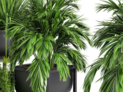 indoor plant set 03 3D model purchase