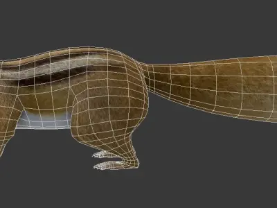Squirrel chipmunk Low-poly 3D model
