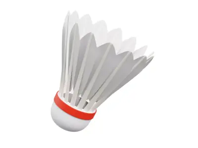 Shuttle Cock 3D model