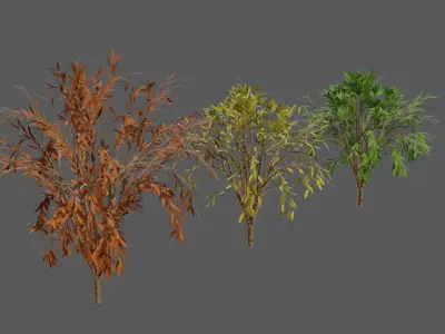 Season Tree Pack 3D model