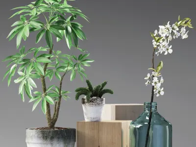 PLANTS 187 3D model