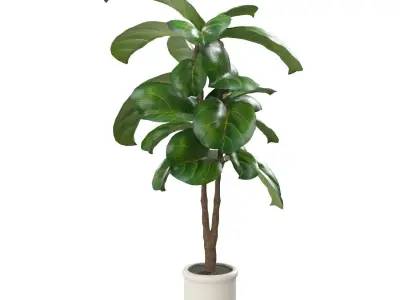 Inch Fiddle Leaf Artificial Tree In White Ceramic Planter PBR 3D model