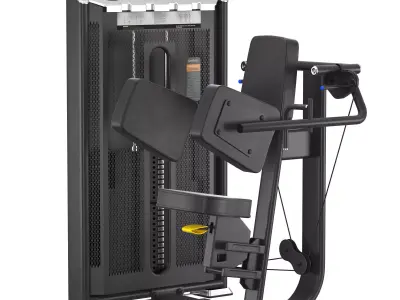 E-7005A Lateral Raise 3D model