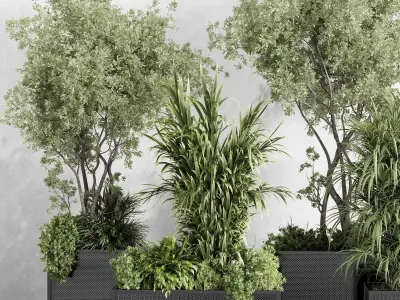 metal box plants on stand - set indoor plant 425 Low-poly 3D model