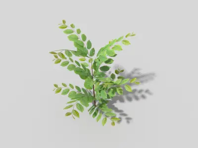 Low poly Plant Low-poly 3D model