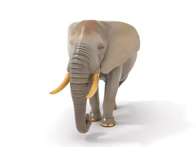 Majestic Elephant model pack Low-poly 3D model